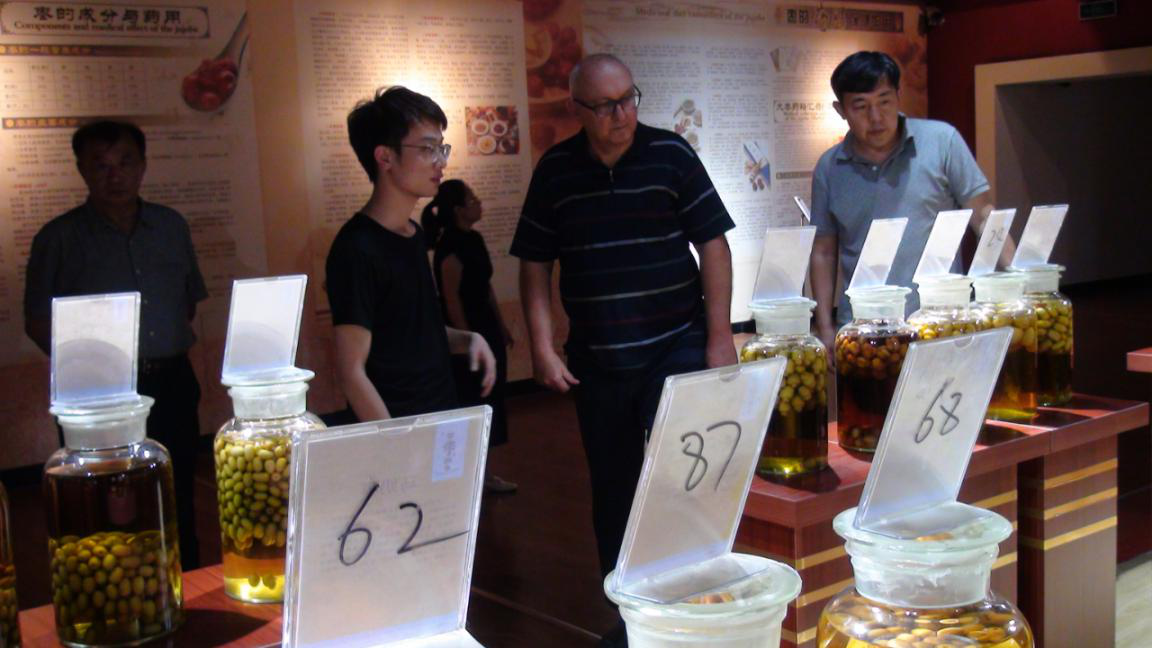 斯洛伐克专家教授一行莅临金年会（金字招牌,信誉至上）旗下 农业产业山东百枣纲目调研
